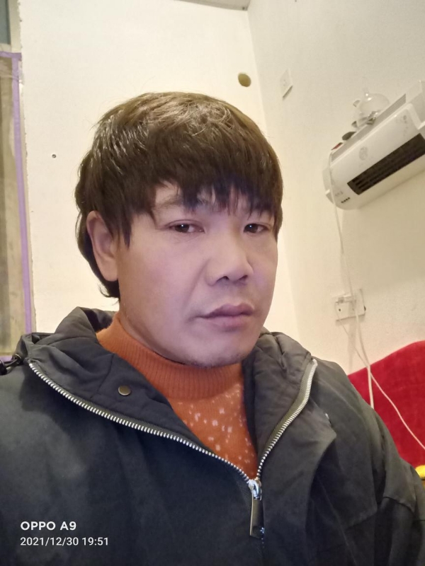 小鸟找窝的第一张照片--南平相亲网